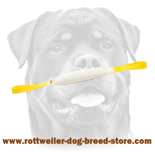 Fire Hose Rottweiler Bite Tug With Handles