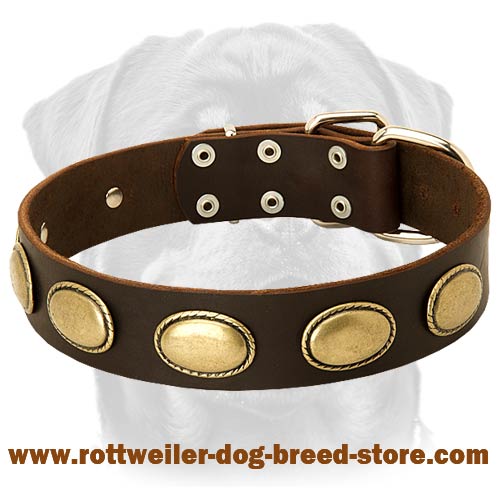 luxury designer dog collars