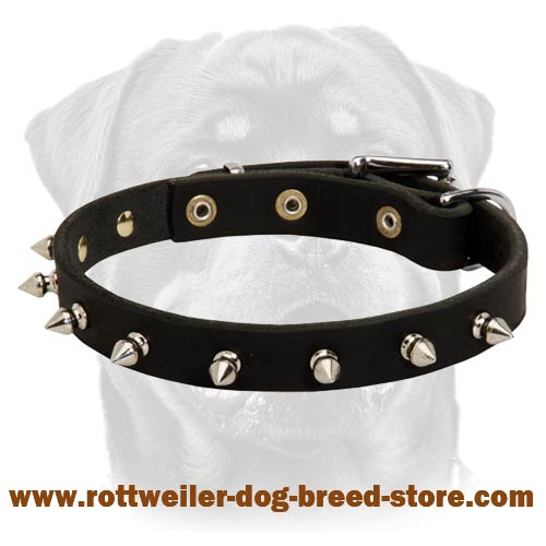 Spiked Leather Dog Collar-Handmade Dog Collar With Shiny Spikes-Designer Creation