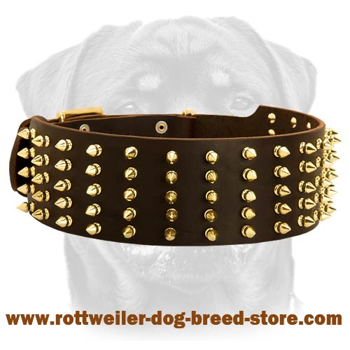 Decorated Leather Dog Collar with 5 Rows of Symmetrical Brass Spikes