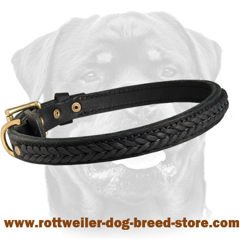 Gorgeous Leather Collar for Rottweilers - Decorated Walking Dog Collar