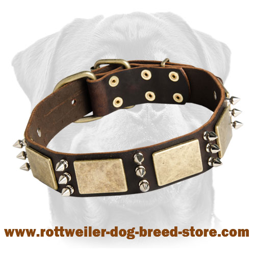 War Leather Collar - Rottweiler Collar Decorated with Plates & Spikes