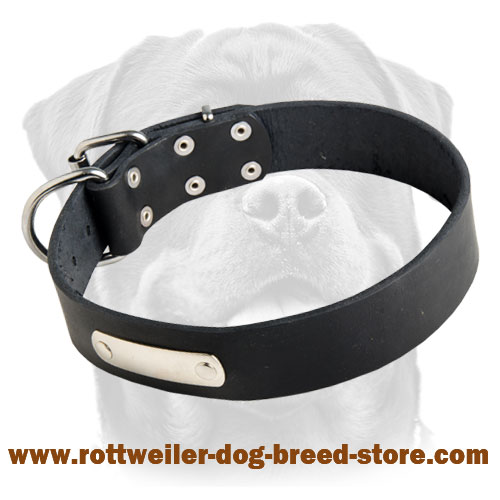 Custom Leather Dog Collar for Rottweiler with free ID tag