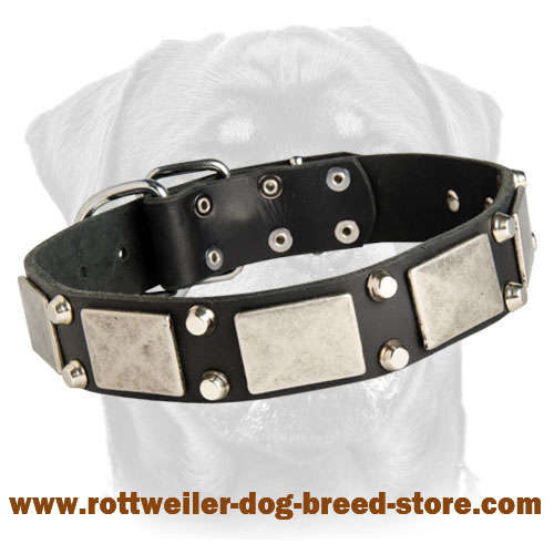 Vintage Collar for Rottweilers - Studded with Branded Elements - Great Invention for Canines