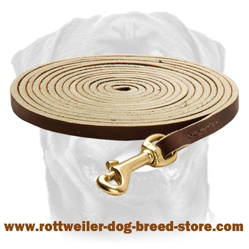 Best Tracking Dog Leash with Brass Snap Hook for Rottweilers