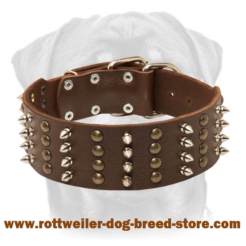 Rottweiler Leather Dog 【Collar】 with Pretty Studs and Spikes : Rottweiler  Breed: Dog harness, Rottweiler dog muzzle, Rottweiler dog collar, Dog leash