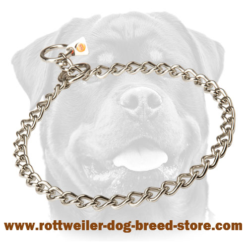 Stainless Steel Choke Dog Collar with Quality Label for Rottweiler 1/9 inch (3 mm)