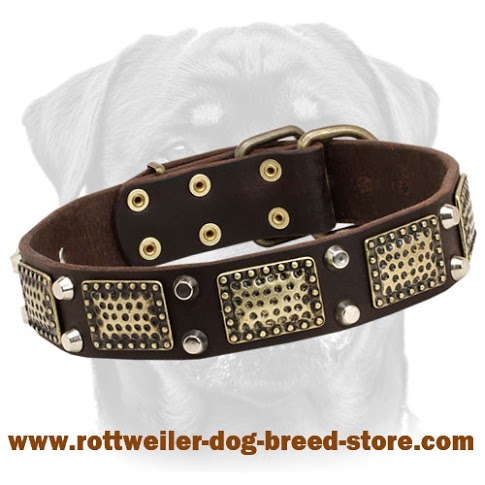 High Quality War Rottweiler Leather Collar
