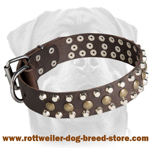 Leather Dog Collar with Studs for Rottweiler