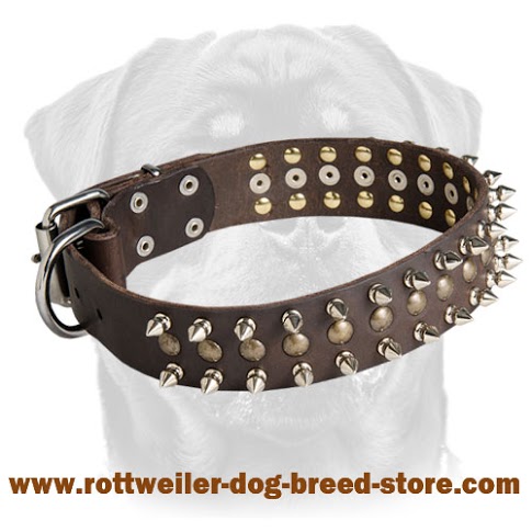Leather dog collar for Rottweiler
