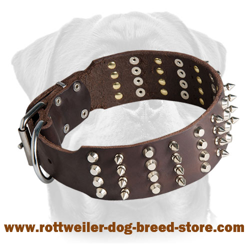 2 inch Leather Dog Collar with STUDS and SPIKES for Rottweiler