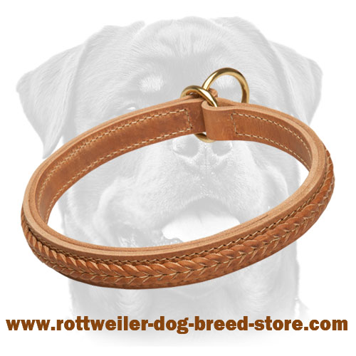 Try Braided Dog Choke Collars Rottweiler Leather Choker Collar