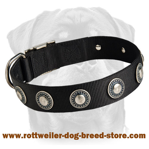 Distinguished Nylon Dog Collar Features Gorgeous Silver Conchos
