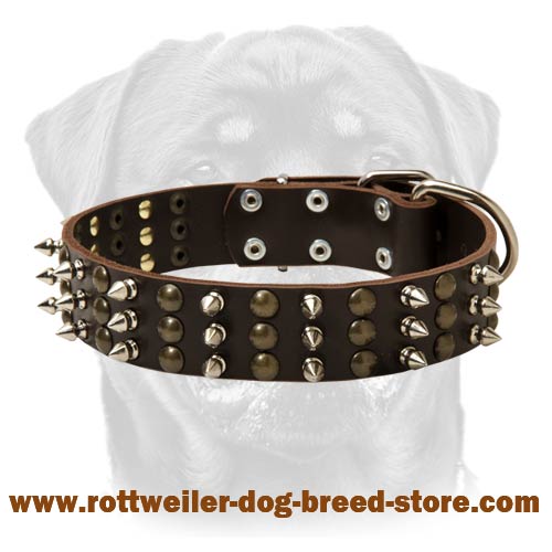 Rottweiler Studded and Spiked Leather Dog Collar