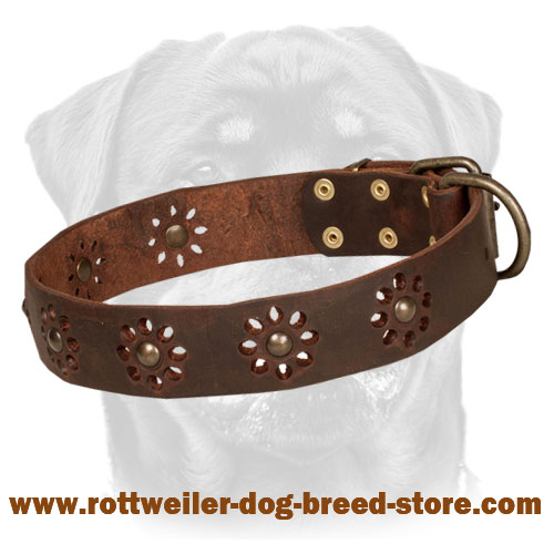 'Spring mood' Leather Dog Collar for Walking in Style