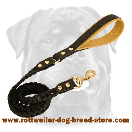 Braided Leather Leash with Handle for all dog breeds