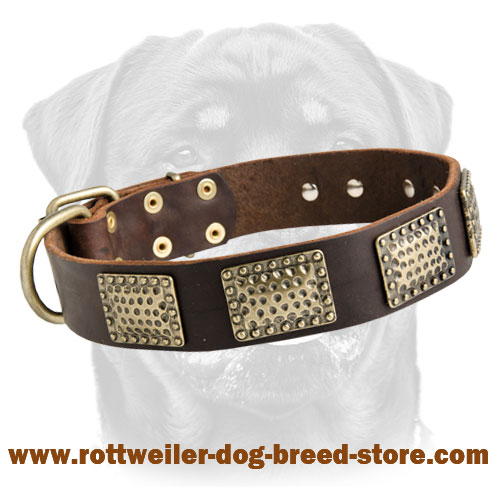 Dog Collars, Designer Dog Collars, Luxury Dog Collars