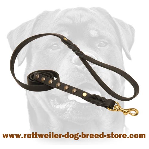 Leather Dog Leash with Studs for Walking, Tracking
