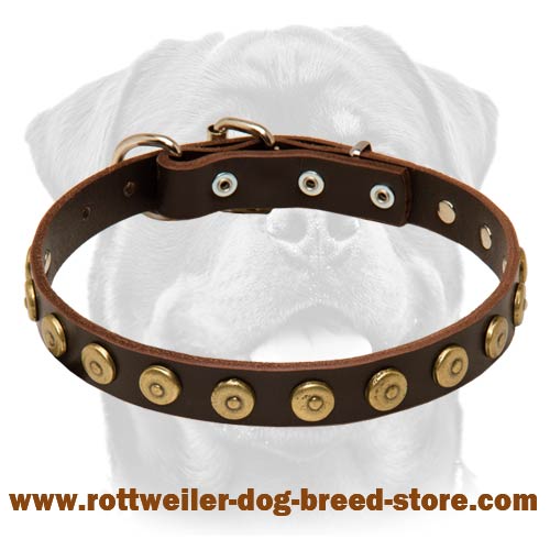 Gorgeous Leather Dog Collar With Dotted Brass Circles