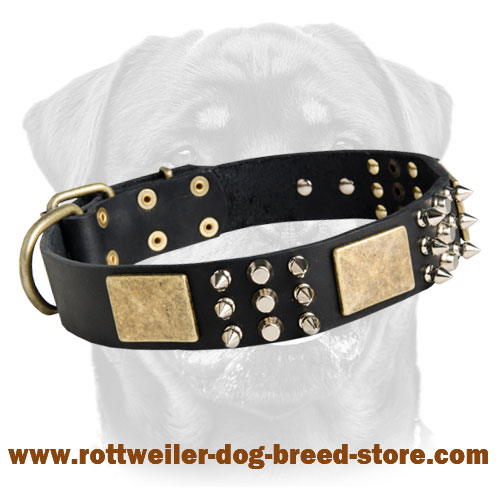 Spiked dog best sale collars for rottweilers