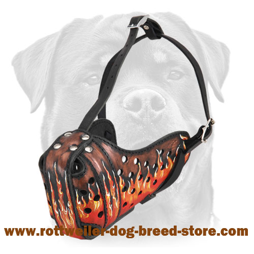 Rottweiler Hand Painted Leather Muzzle-Fire Flames Dyed Heavy Duty Dog Muzzle