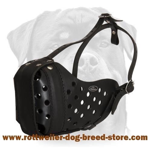 Leather dog muzzle for Rottweiler agitation training