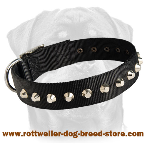 Most Beautiful Nylon Collar 1 Row Studs Rottweiler Collar 1 1 2 inch Wide