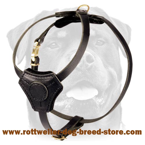 Small Leather Harness for Rottweiler Puppy