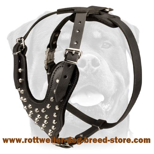 Handmade Rottweiler Harness - Pyramids Studded Leather Dog Harness