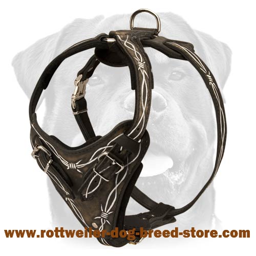 Exquisite Barbed Wire Painted Leather Harness for Your Rottweiler