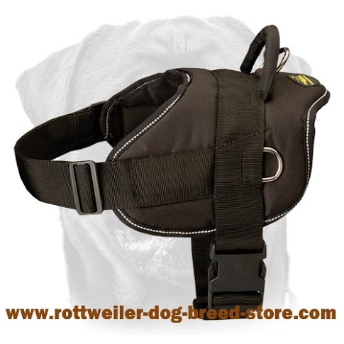 Similar Easy Walk Rottweiler Harness-All Weather Comfy Dog Harness