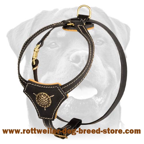 Stylish Handmade Leather Harness for your Rotty
