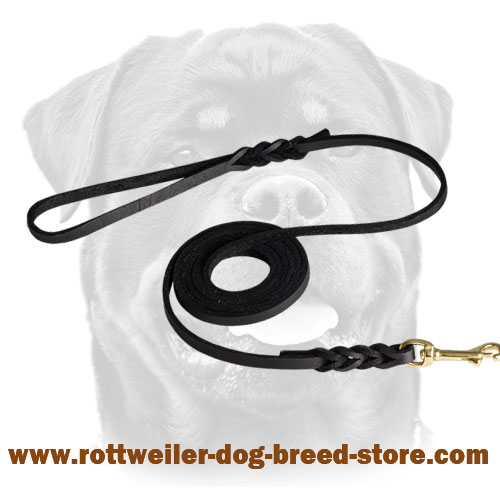 High Quality Show Leather Dog Leash for Rottweiler