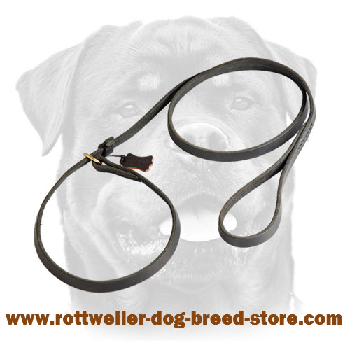 Anywhere Fast Handling leash choke collar combo for Rottweiler