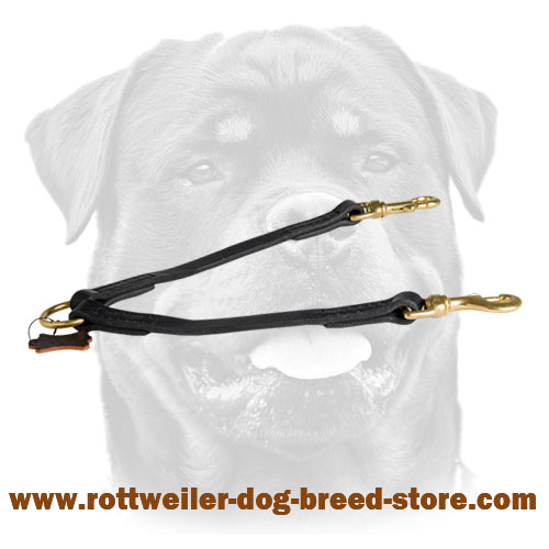 Stitched Leather Coupler for Easy Dog Walking