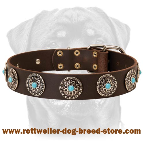RotteLeather Dog Collar & Silver Plated Circles Blue Stones
