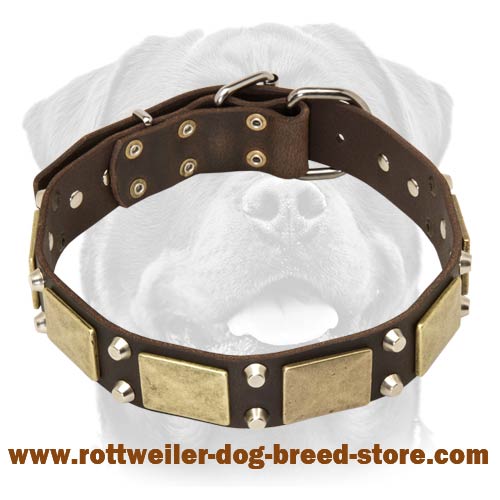 Antique Leather Rottweiler Collar with Massive Plates and Columns of Pyramids