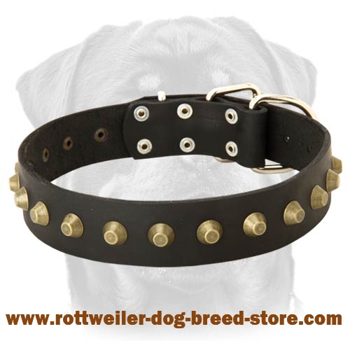 Gorgeous Wide Leather Dog Collar-Professional Dog Collar for Rottweilers