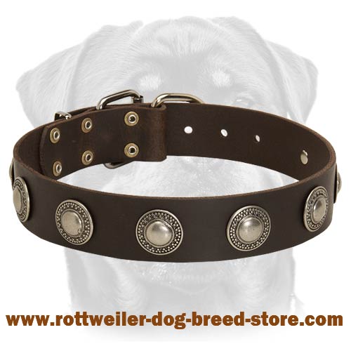 Deluxe Leather Dog Collar with Jewelry for Rottweiler