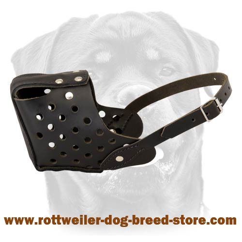 best muzzle for rottweiler
