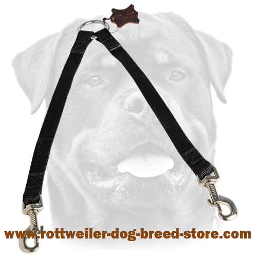Stitched Nylon Coupler Leash for Walking 2 dogs