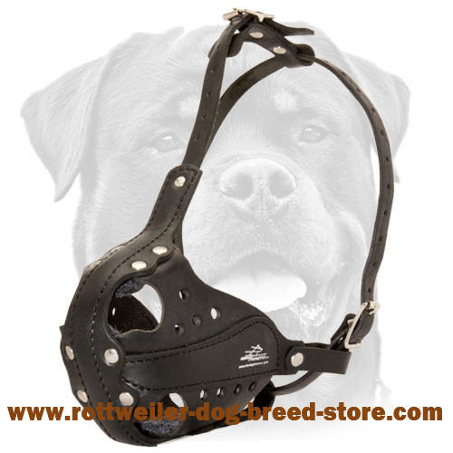 Special Design Muzzle for Rottweiler Training