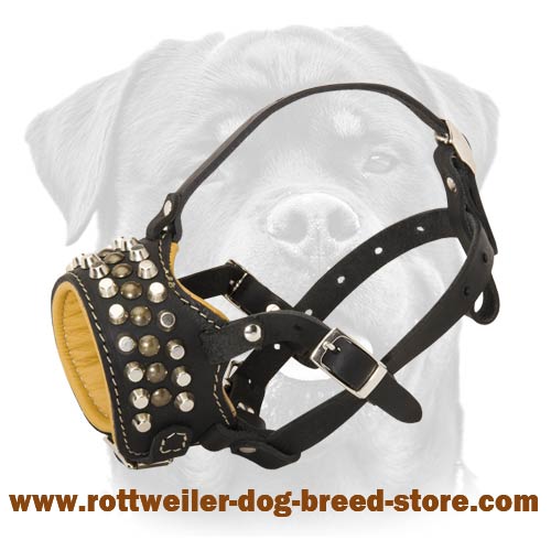 Nappa Padded Dog Muzzle for Rottweilers