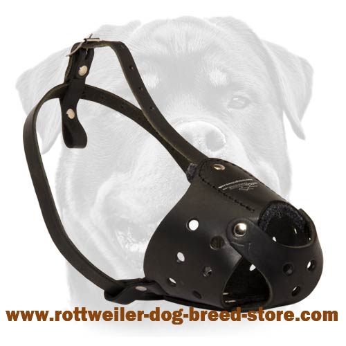 Everyday Rottweiler Leather dog muzzle