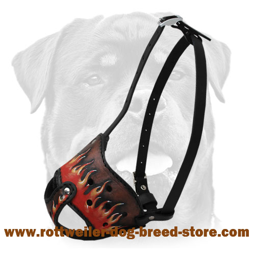 Dog muzzle hot sale in store