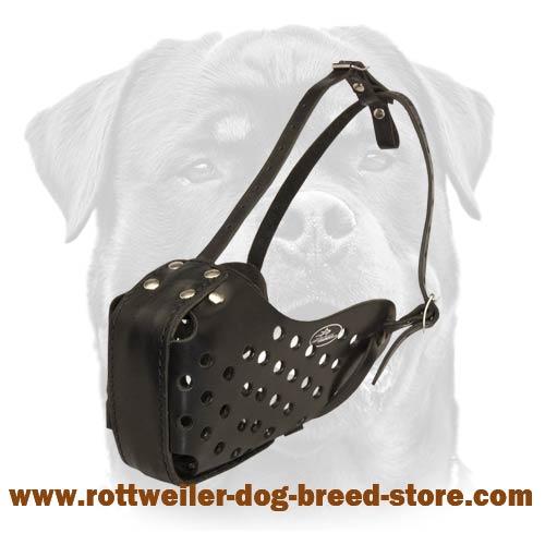 Fine Leather Dog Muzzle for Agitation/Attack Work with Rottweiler
