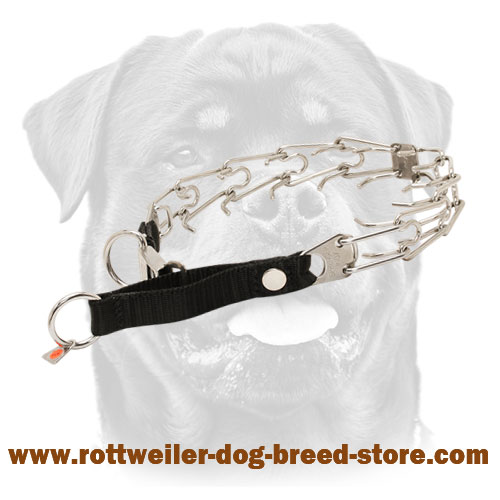 Stainless Steel Quick-Release Training Pinch Prong Collar for Rottweiler 1/8 inch (3.2 mm)