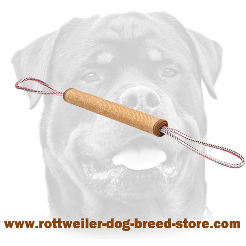 Puppy Training Jute Roll