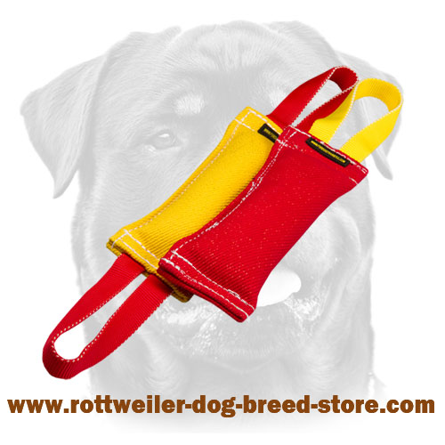 Set of 2 Puppy Tugs Made of French Linen