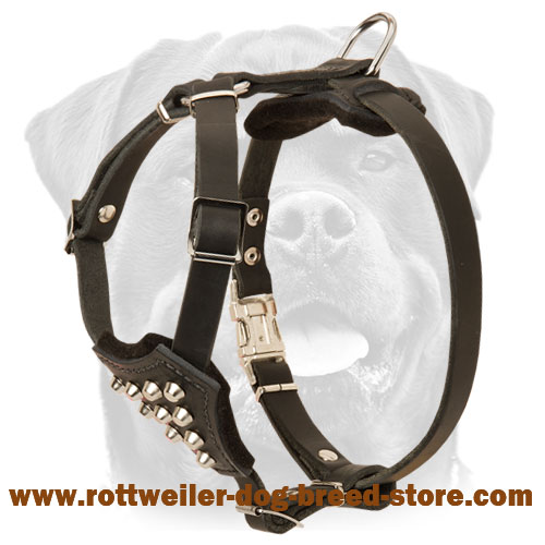 Studded Dog Harness for Active Rottweiler Puppies